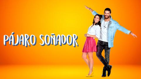 Pajaro Soñador Capitulos Completos (en Español)